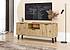 BORG DUO Tv stolek 2d1s/140 - dub artisan