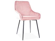 Jídelní čalouněná židle ALBI velvet černá - růžová