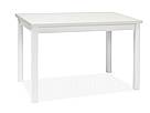 Jídelní stůl ADAM bílý mat 120x68 cm