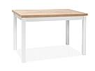 Jídelní stůl ADAM dub Lancelot / bílý mat 120x68 cm