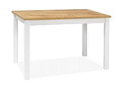 Jídelní stůl ADAM dub wotan / bílý mat 120x68 cm