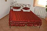 Kovová manželská postel Roxana bez předního čela 180 x 200 cm  - barva černá