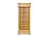 Masivní knihovna Classic Wood REG04