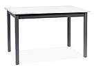 Rozkládací jídelní stůl Horacy bílý mat / černý 100(140)x60